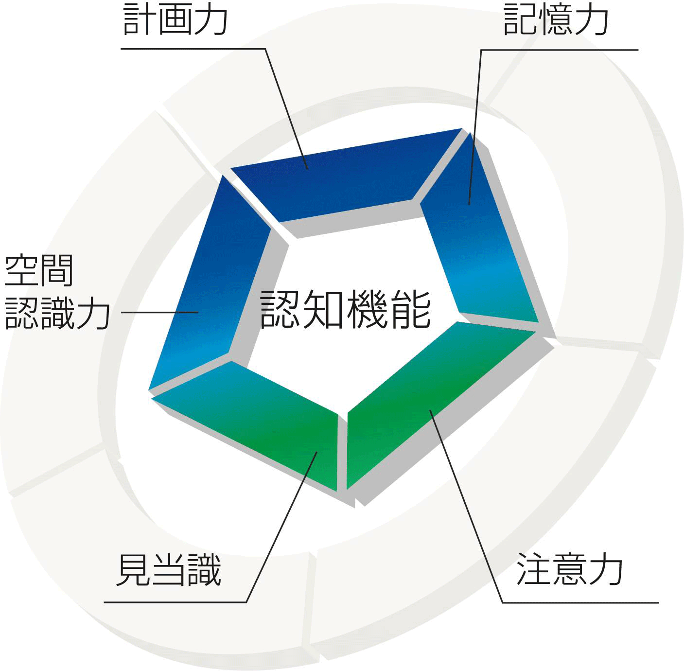 認知機能は「見当識」「注意力」「記憶力」「計画力」「空間認識力」の5側面